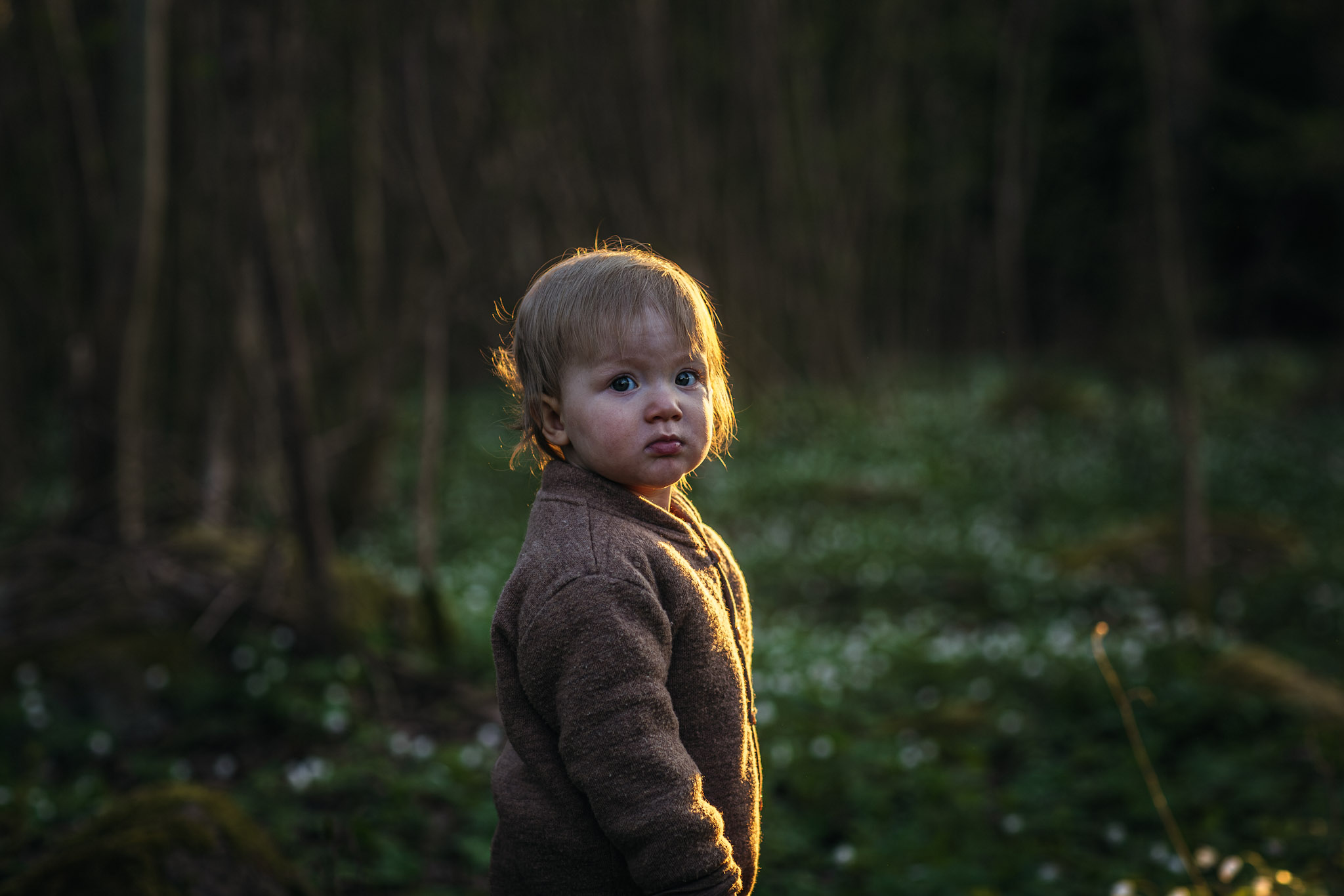 Ett litet barn står vid en mörk skog med ljus längs håret.