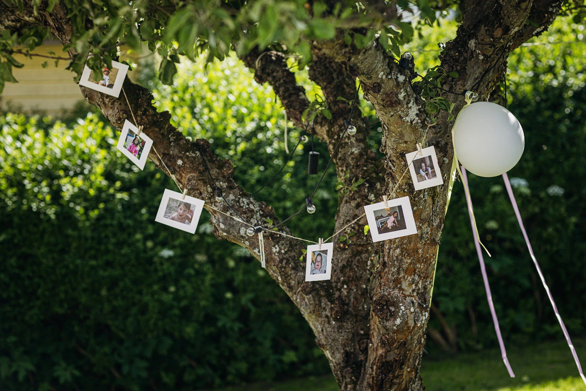 Small photographs and a white balloon hang from a leafy tree.