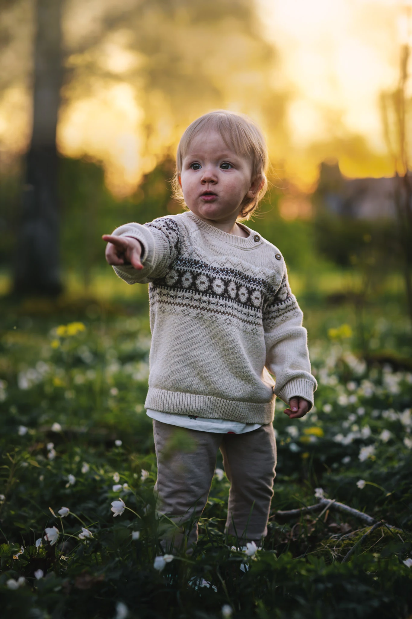 Ett barn i stickad tröja pekar bland vitsippor i en solbelyst skog.