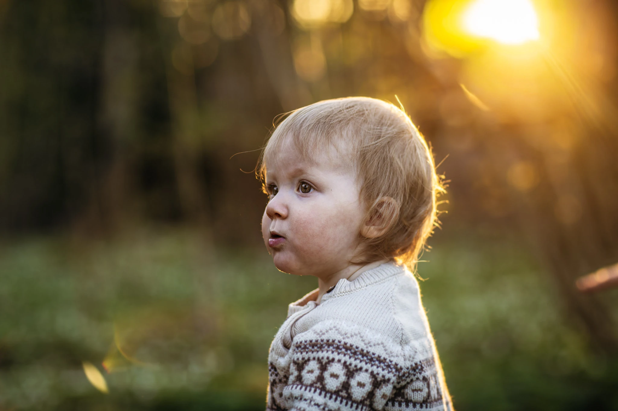 A small child in a knitted sweater in profile against a warmly backlit woodland.
