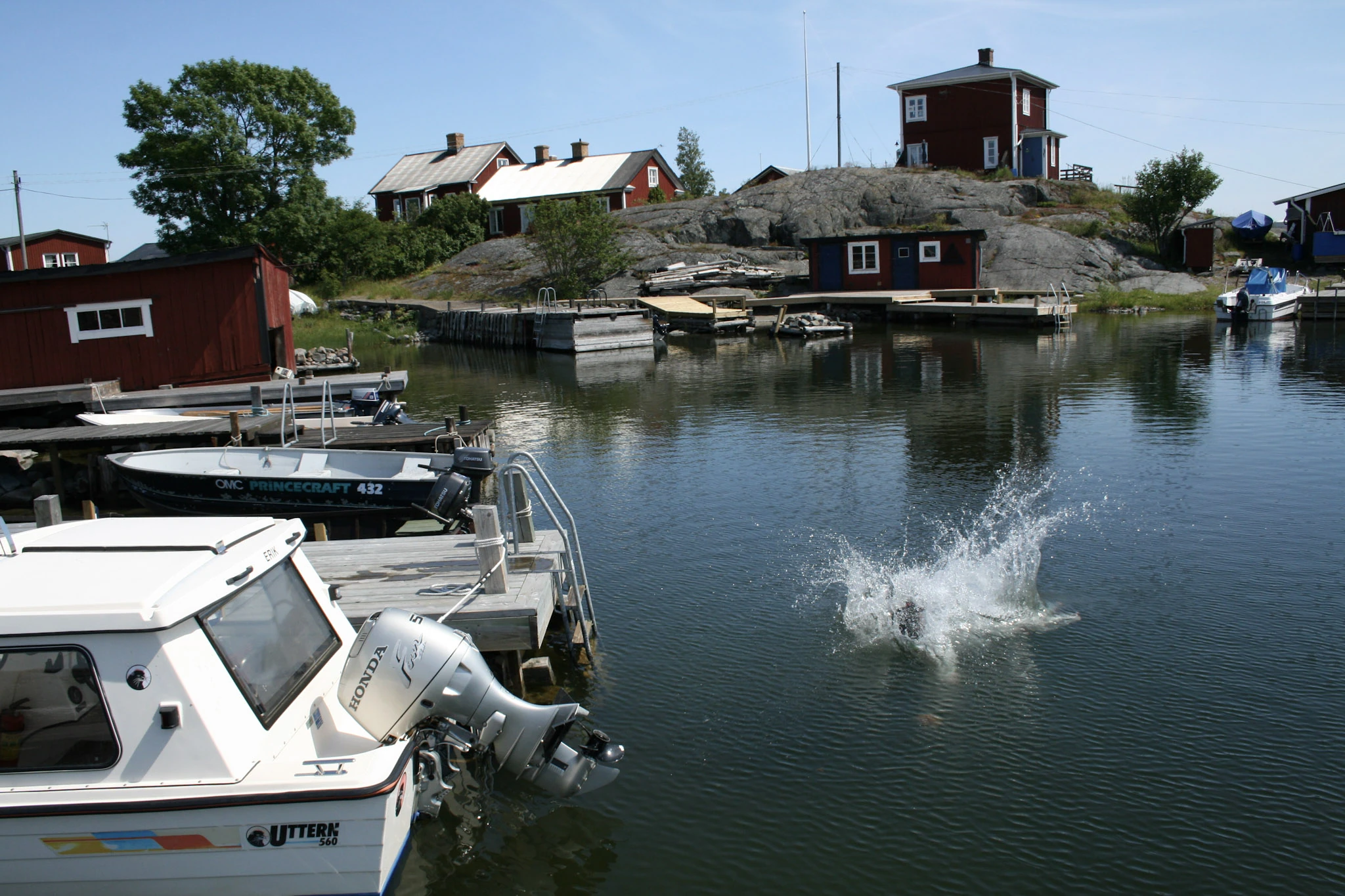 Ett vitt vattenstänk bryter den stilla speglingen av en liten hamn.
