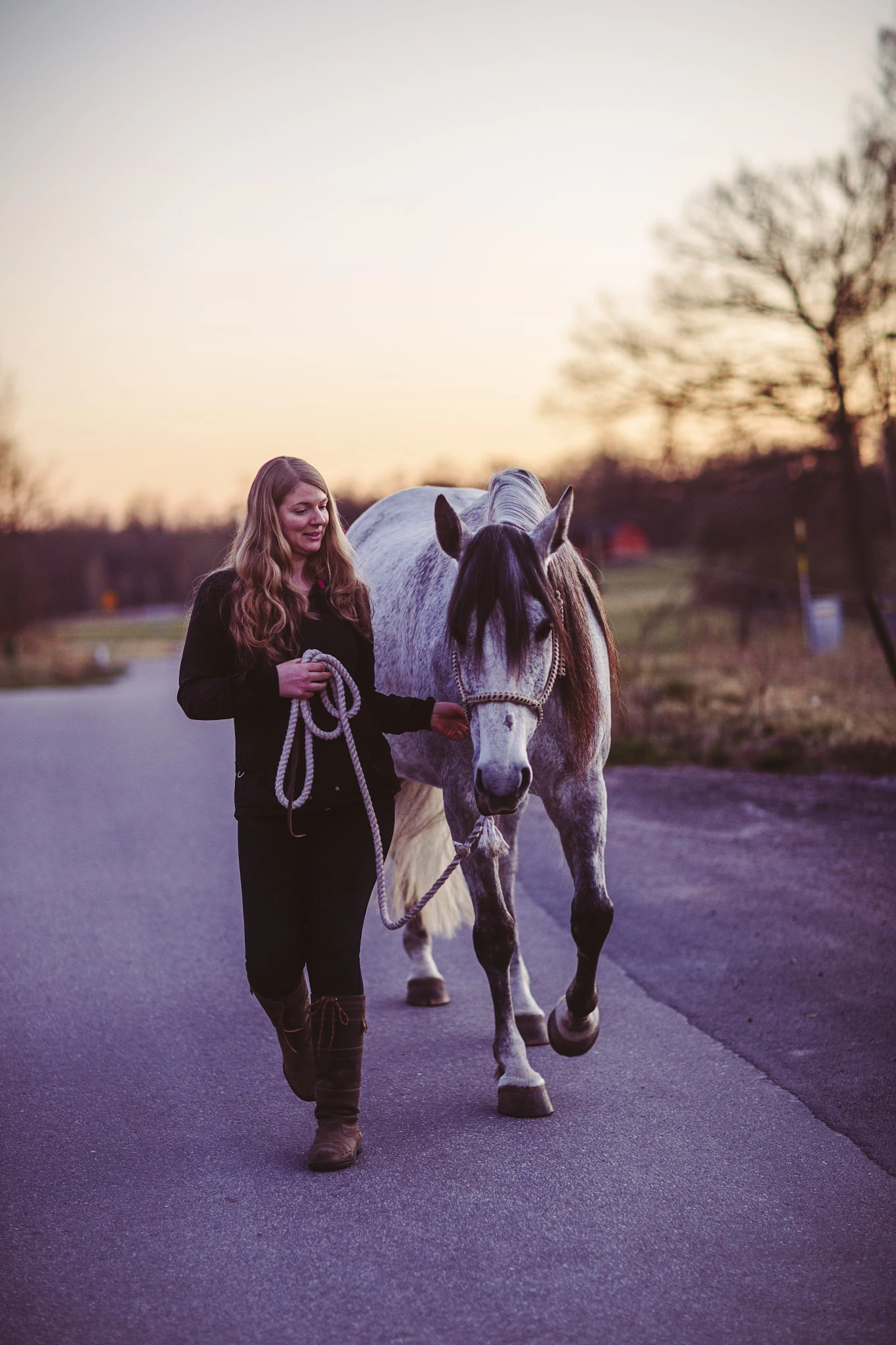 A woman leads a grey horse along a road beneath a warm twilight sky.