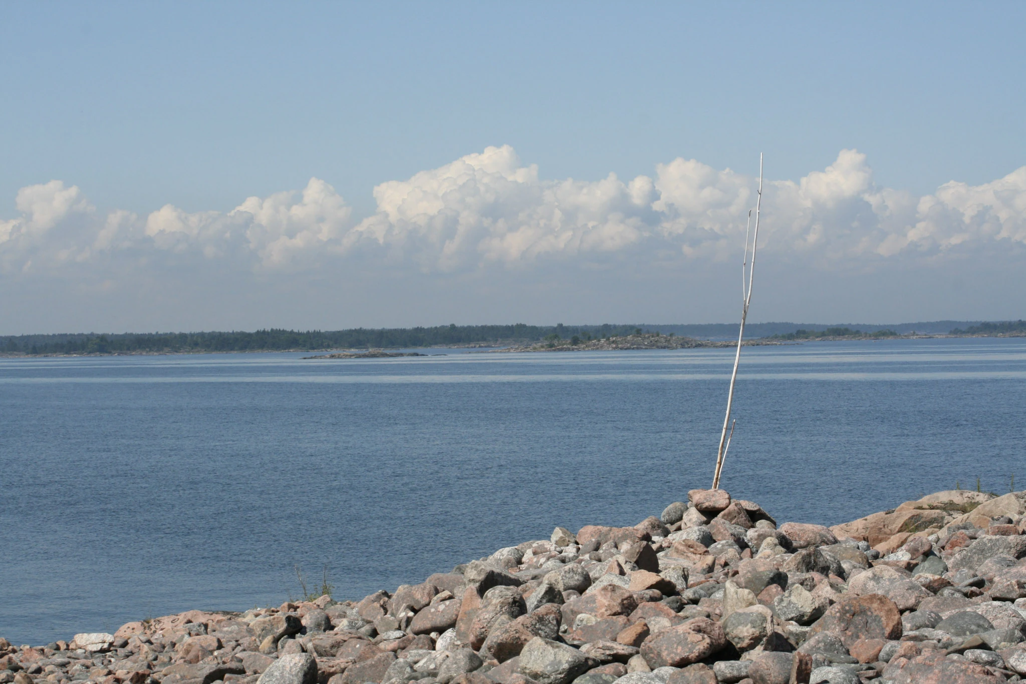 Ett smalt fiskespö står bland strandstenar framför lugnt blått vatten.