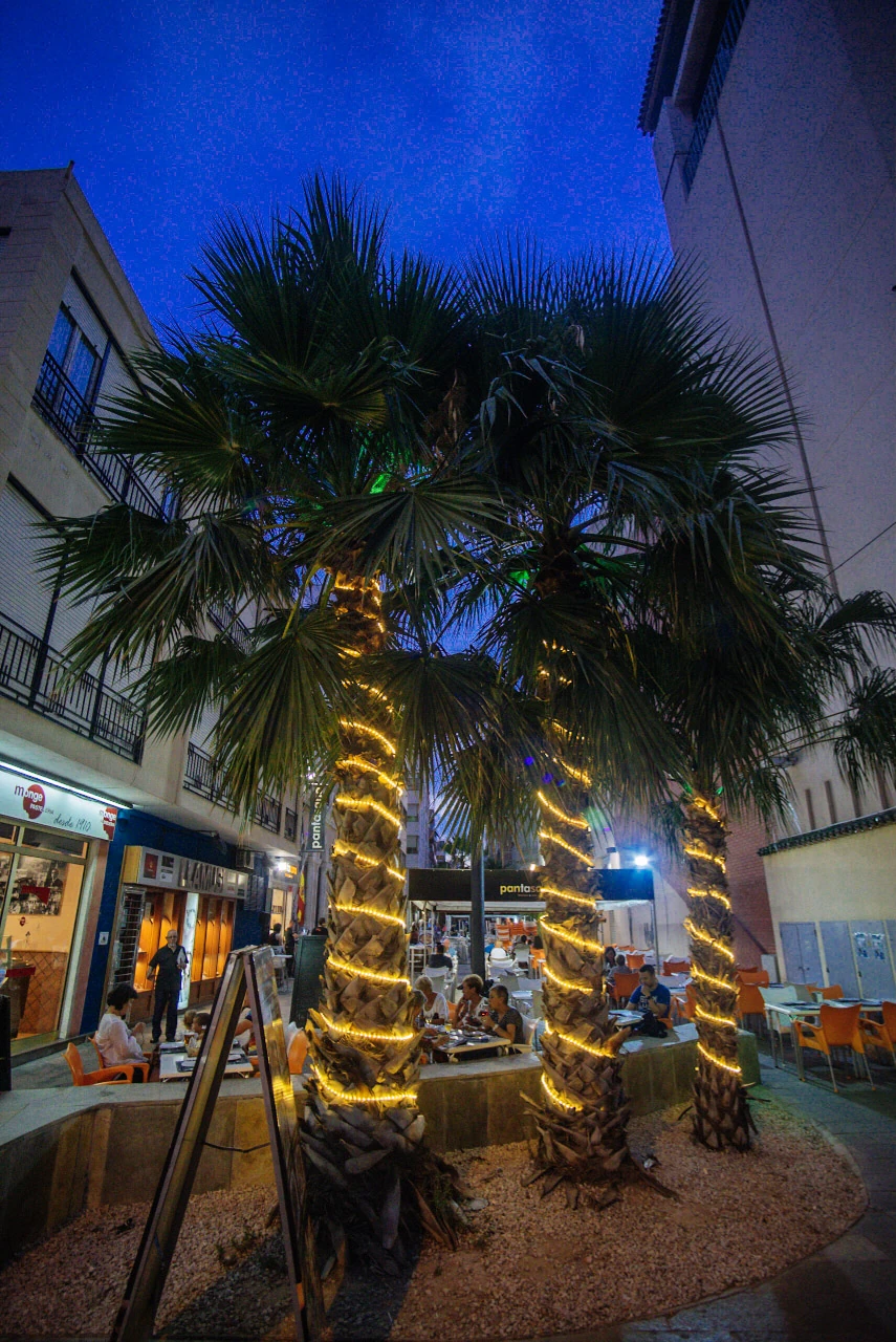 A palm and illuminated market stalls along a street beneath a deep blue sky.