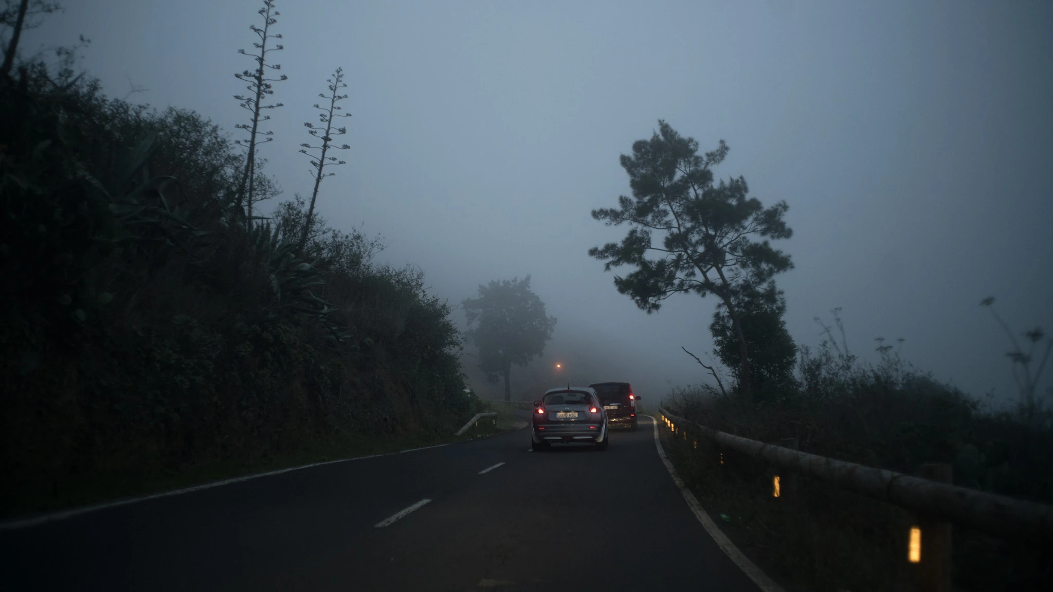 A car's red tail lights on a road through dense blue-grey fog.