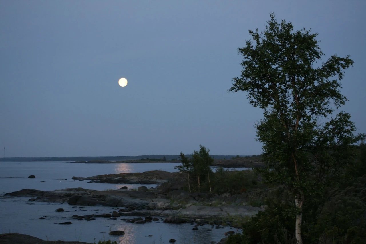 En ljus måne hänger över en blå kust med träd och låga klippor.