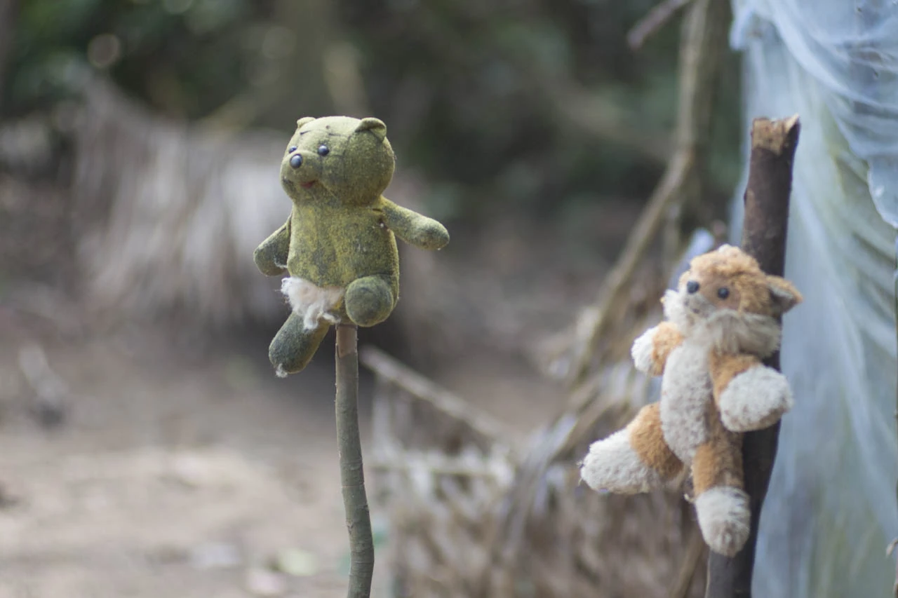 Two small worn soft toys sit on sticks in front of a wooden fence and greenery.