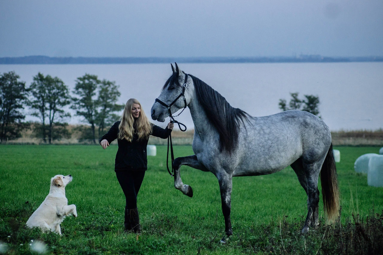 En kvinna med en grå häst och en ljus hund i blått kvällsljus.