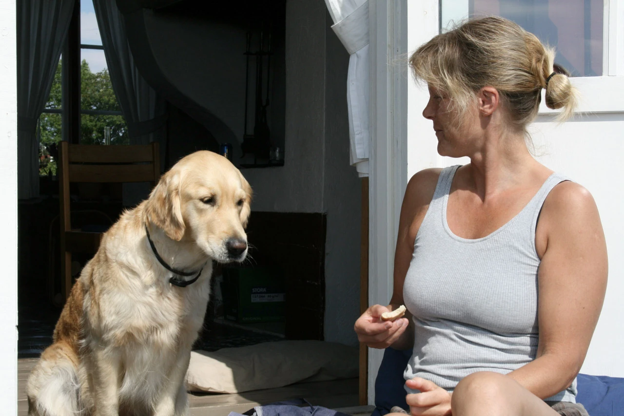 En kvinna i vitt linne sitter bredvid en hund på solbelysta trappsteg.