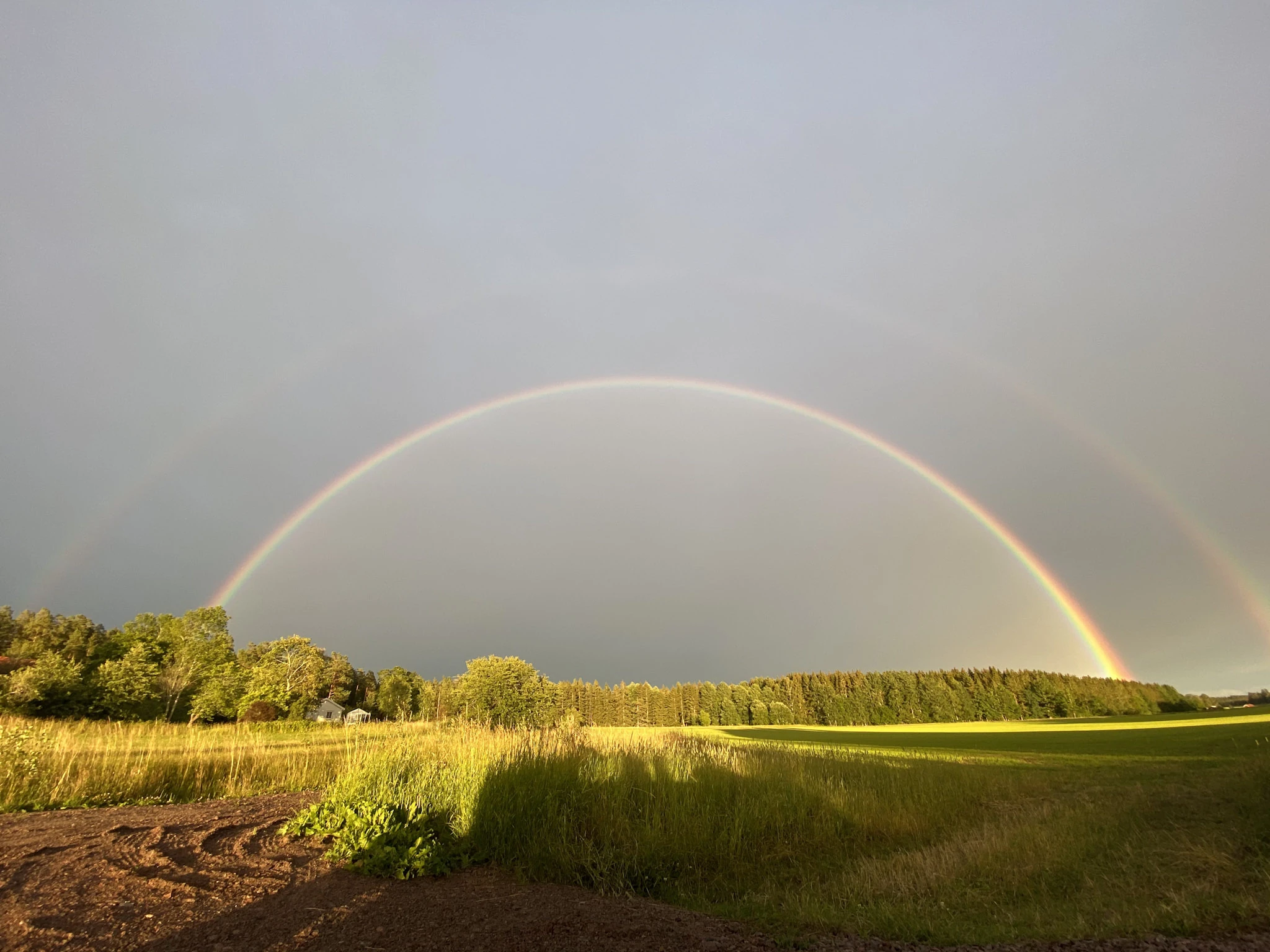 En regnbåge spänner över gröna fält under en mörk regnhimmel.