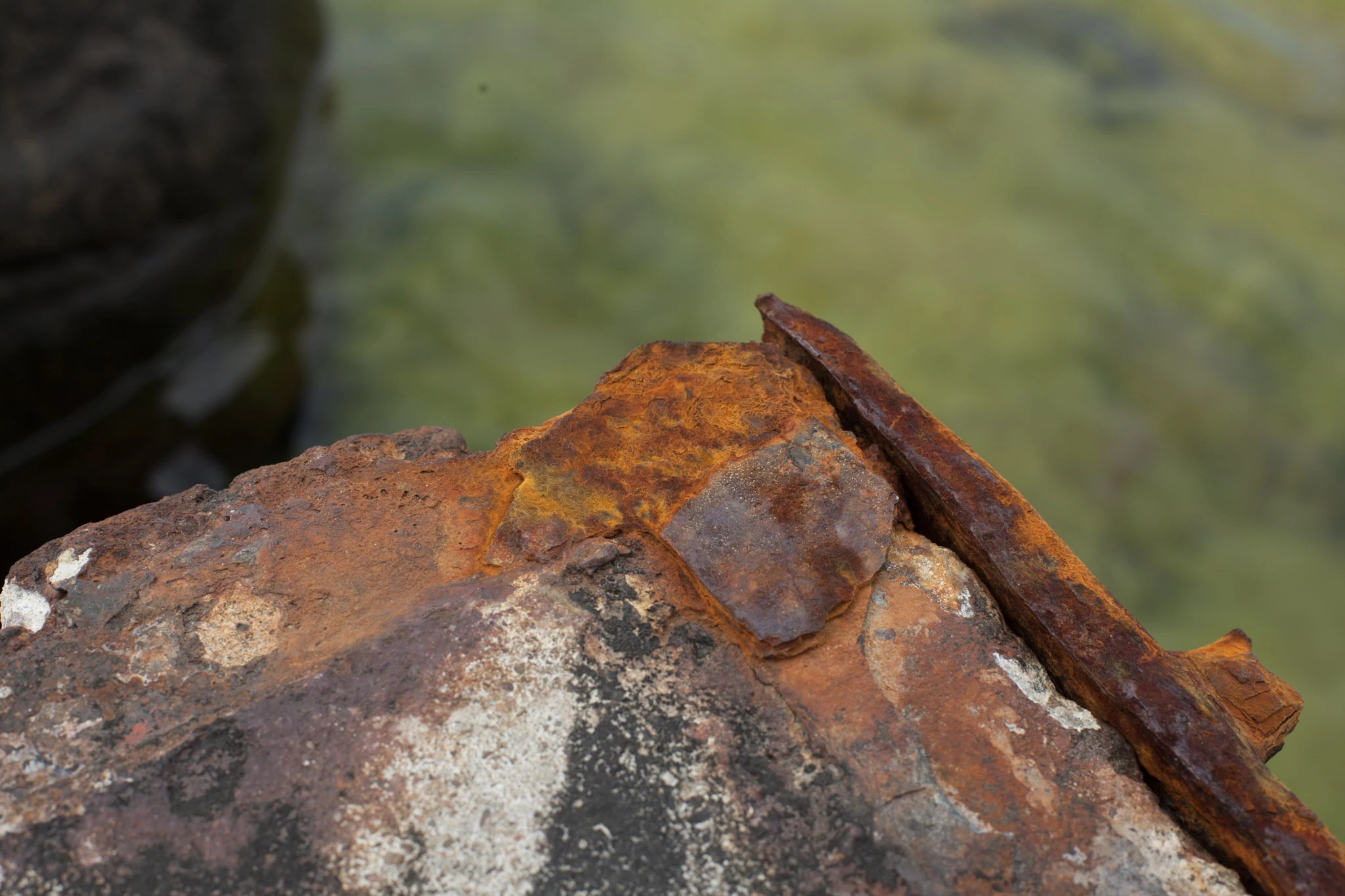 Rusty metal beside green water.