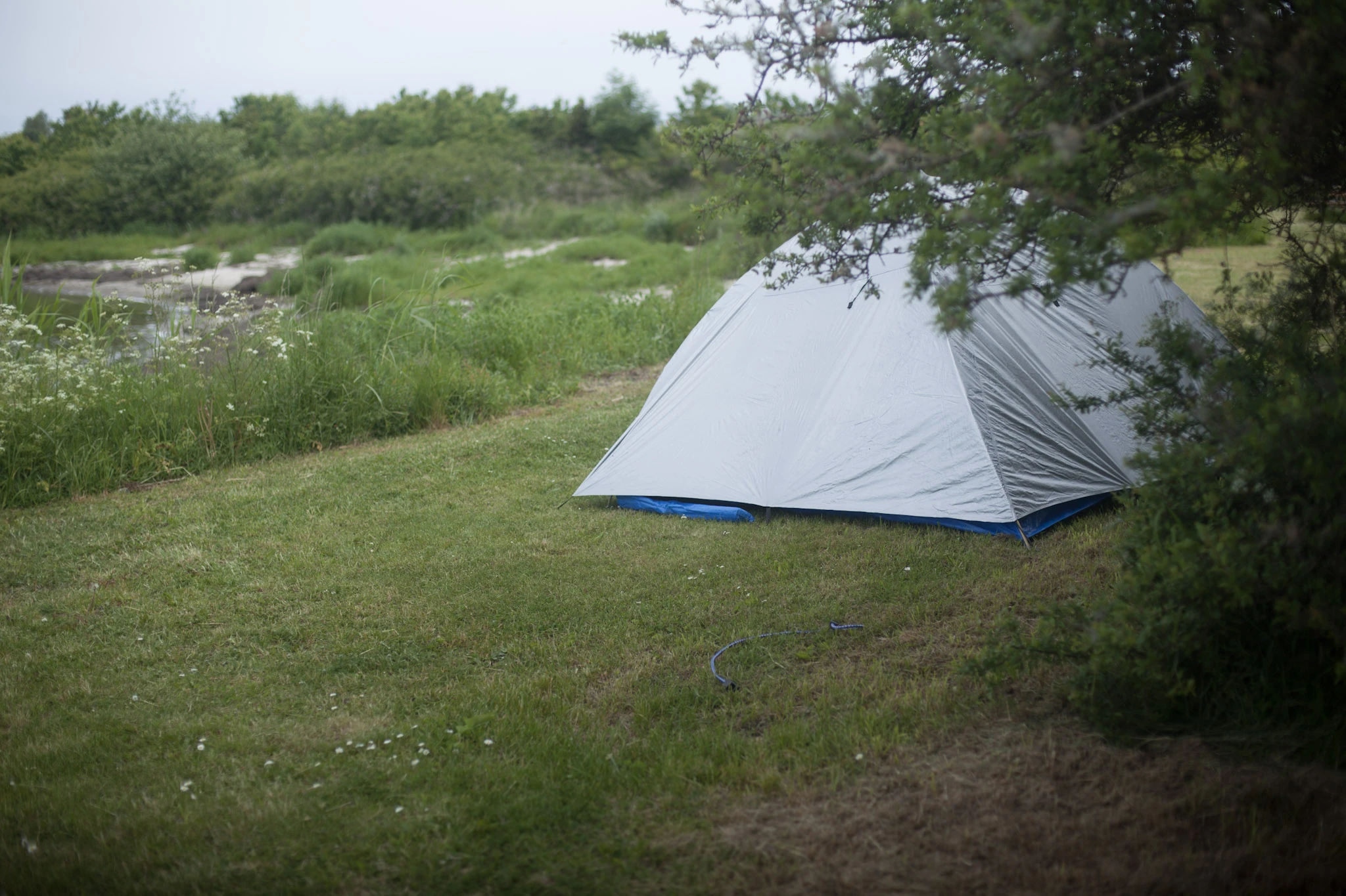 A pale tent stands in green grass near a rocky shore.