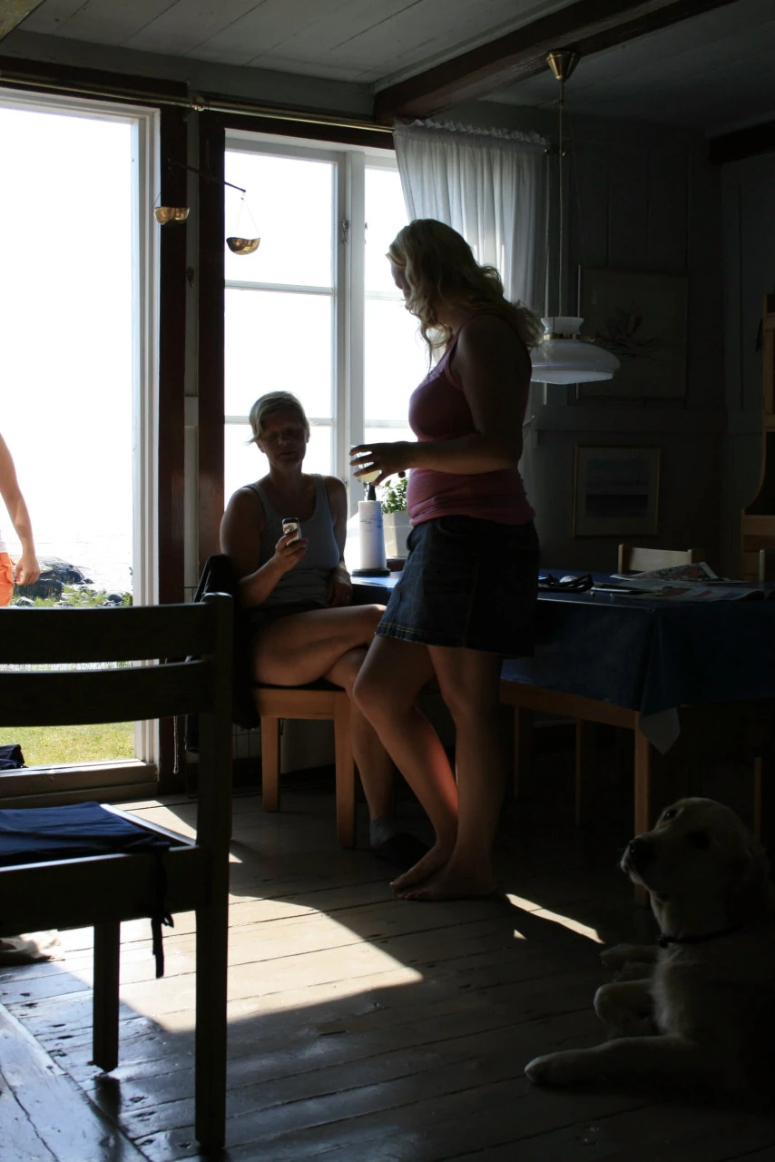 Personer i ett mörkt rum tecknas som silhuetter mot en öppen sommardörr.