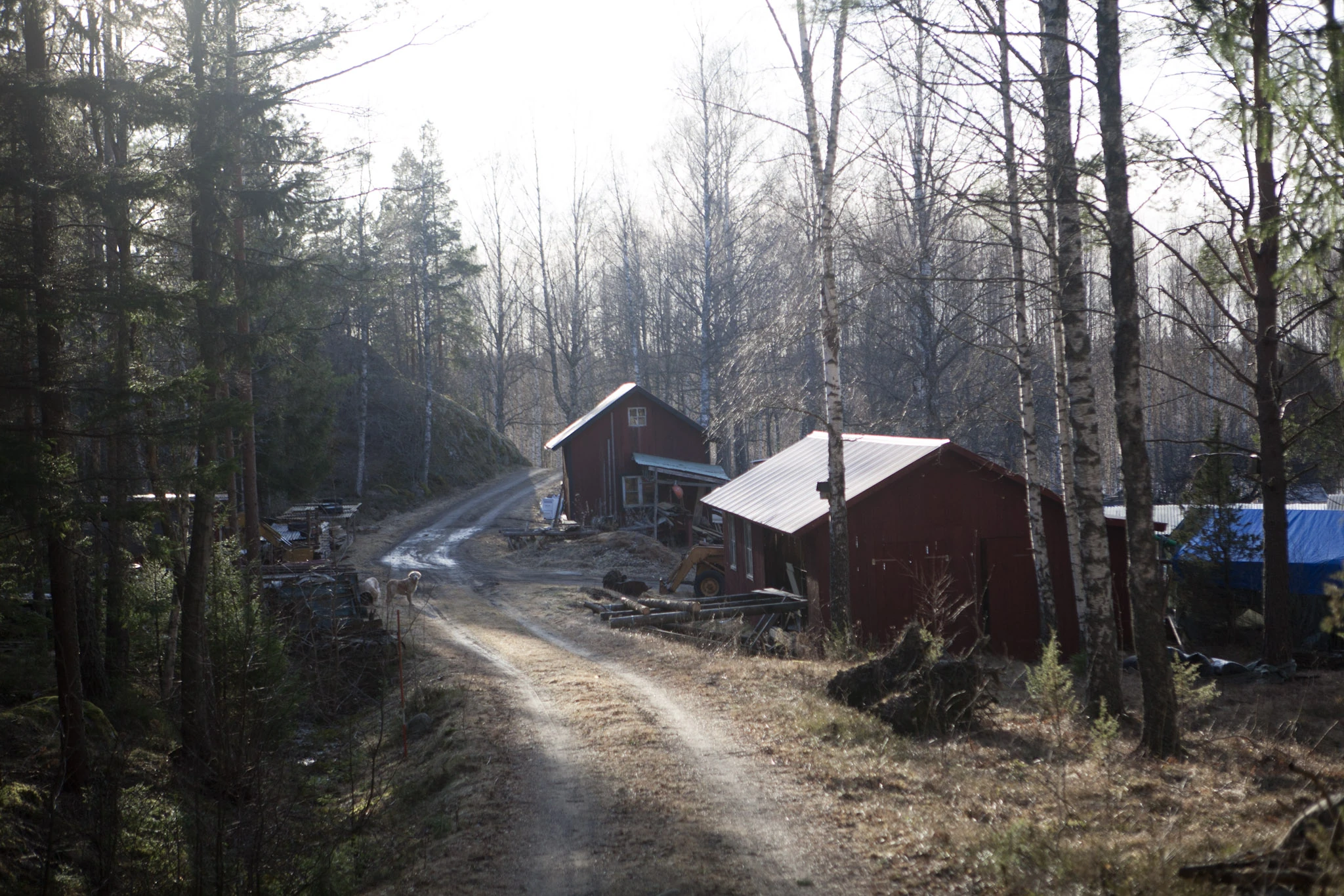 Två röda träbyggnader följer en grusväg mellan träd i lågt motljus.