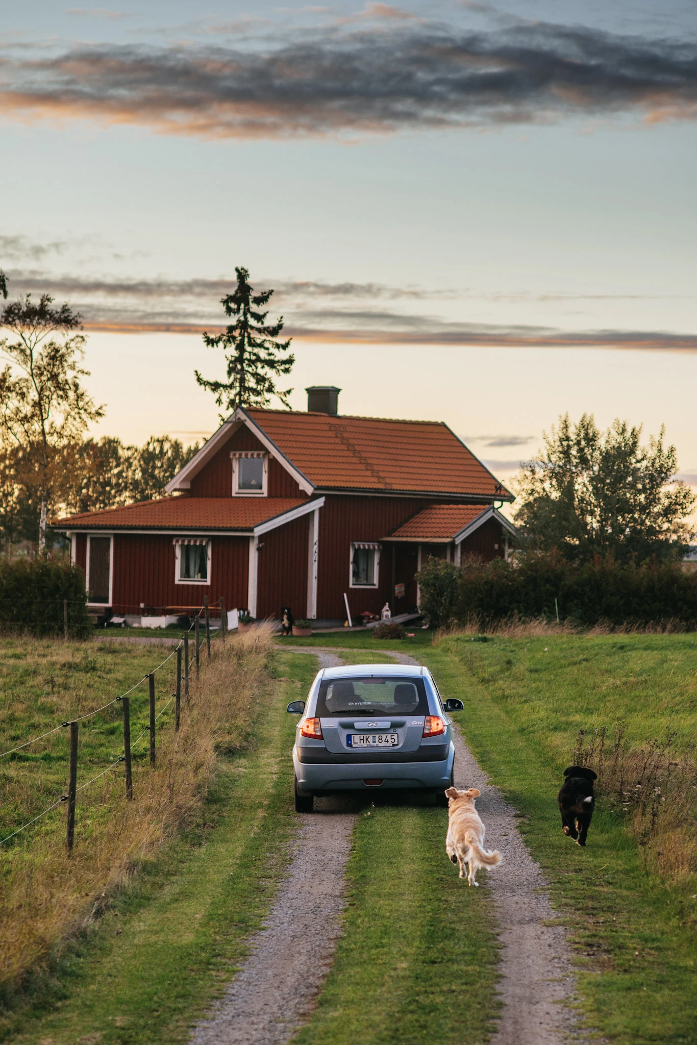 A narrow gravel road leads past pasture towards a red house in evening light.