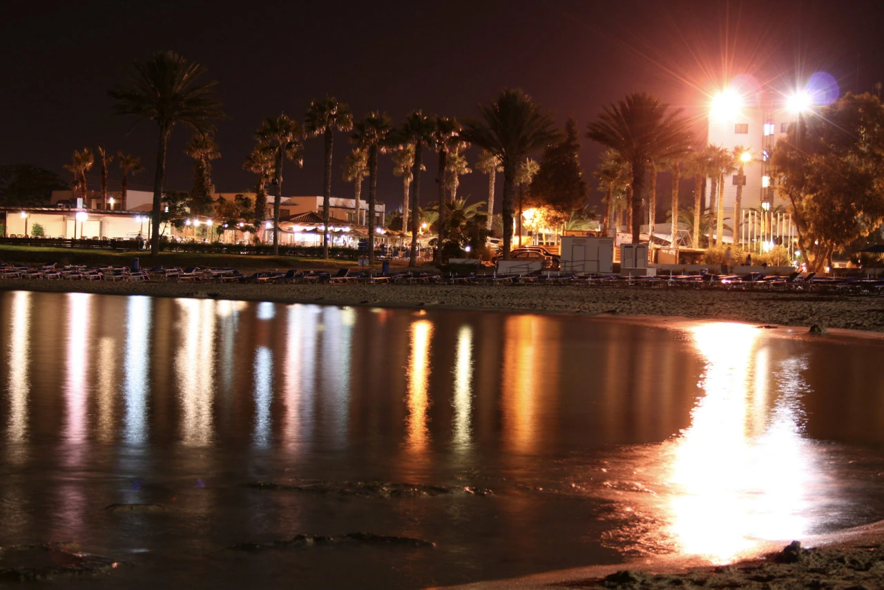 Lights from palms and buildings reflect in dark harbour water.