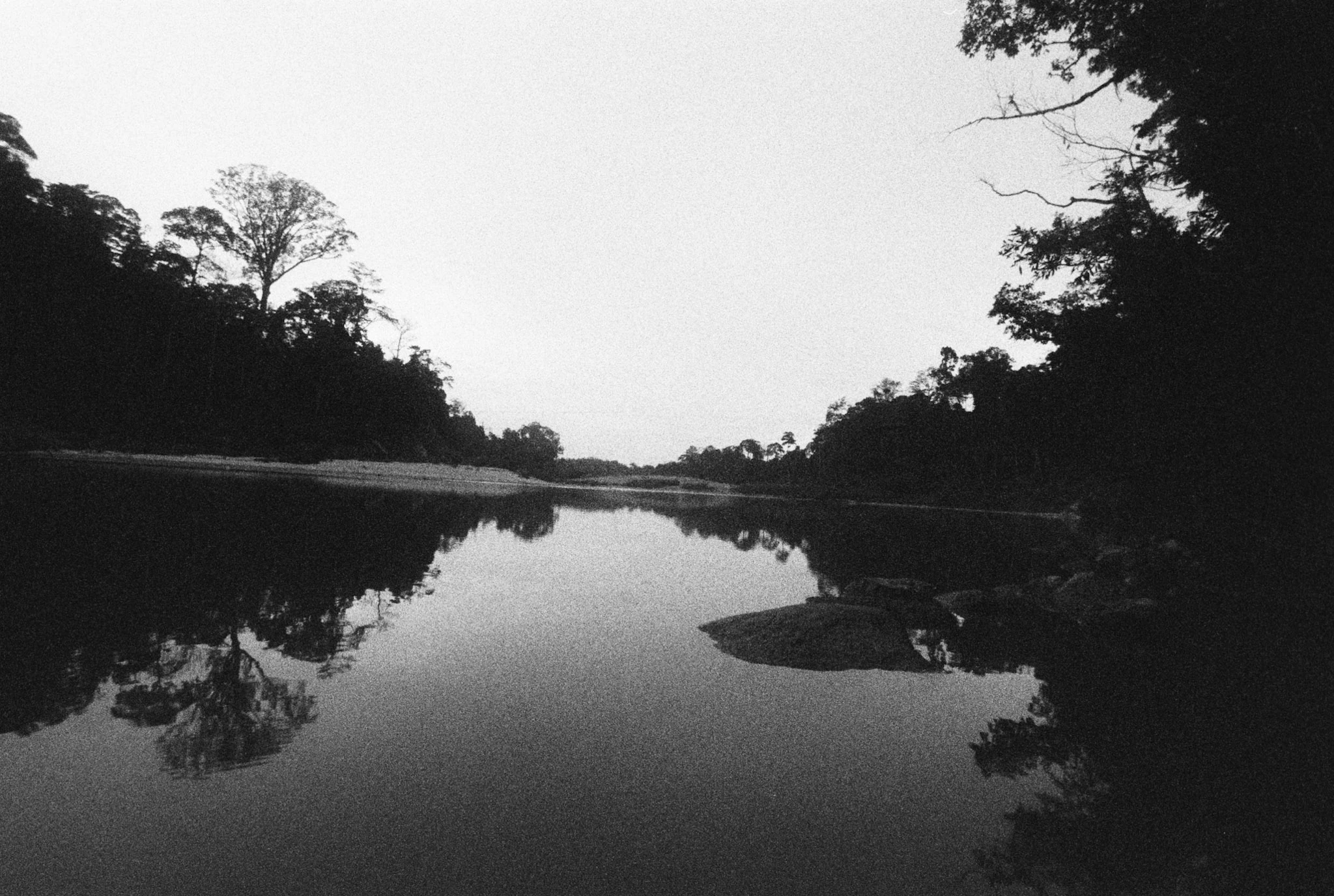 Dark trees reflect in a still river in black and white.