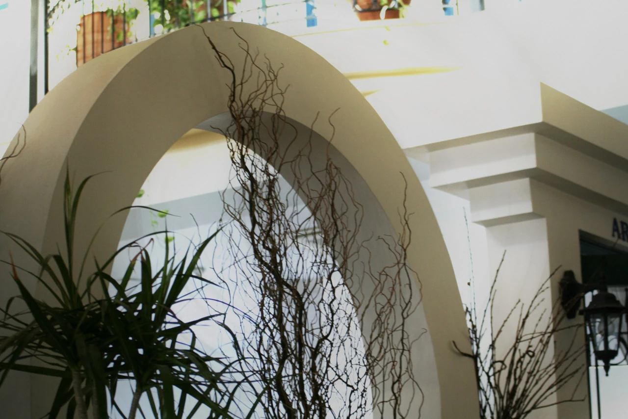 Thin branches in front of a pale arch and a building in warm sunlight.