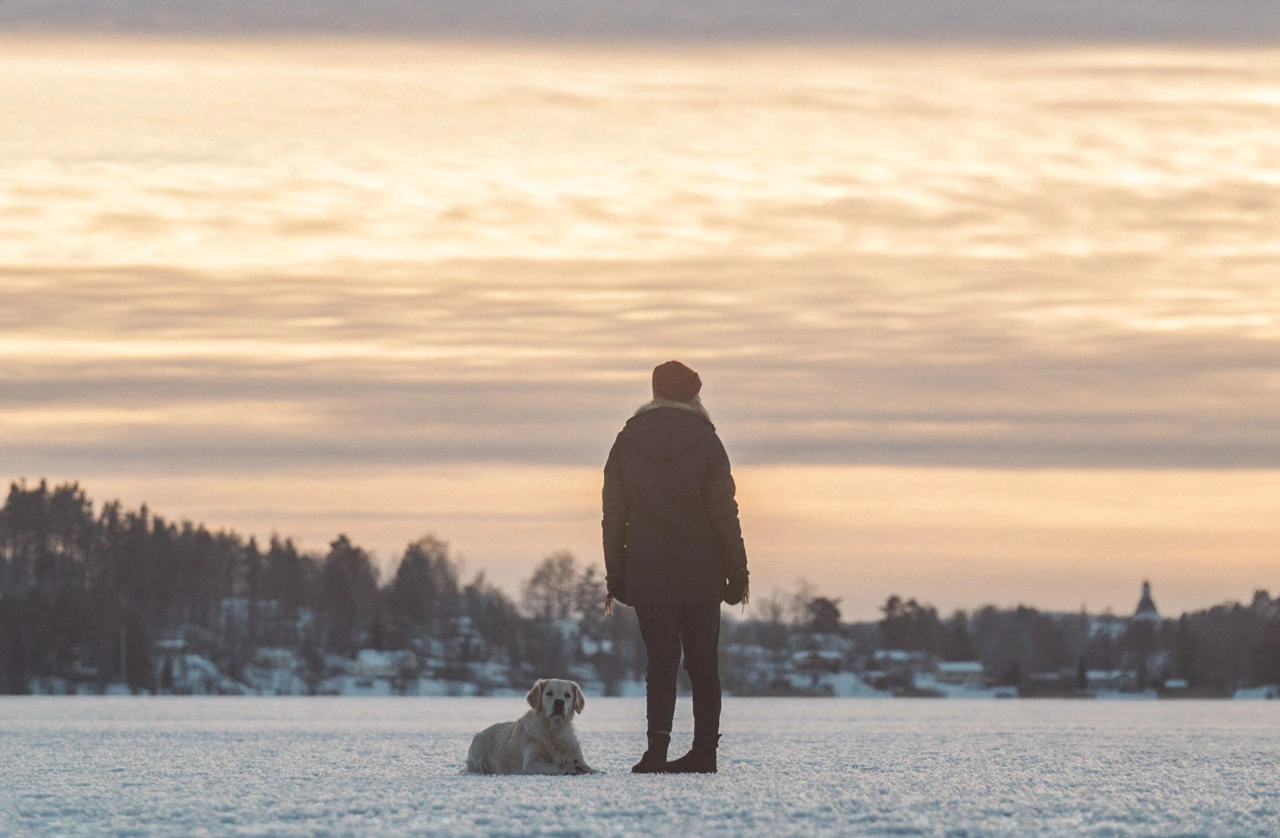 A person and a dog stand on ice beneath a pale winter sky at dusk.