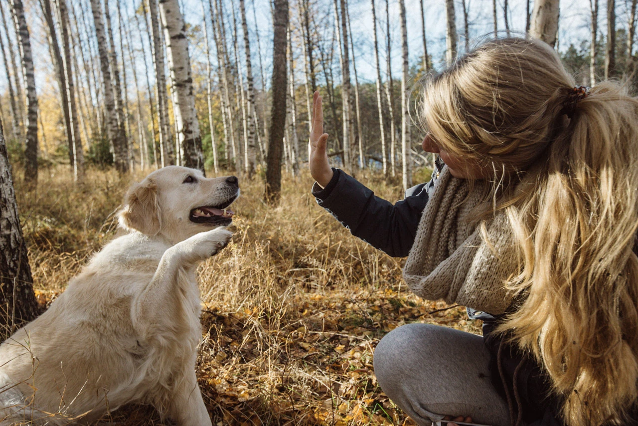 En kvinna håller upp handen framför en hund bland gula höstlöv.