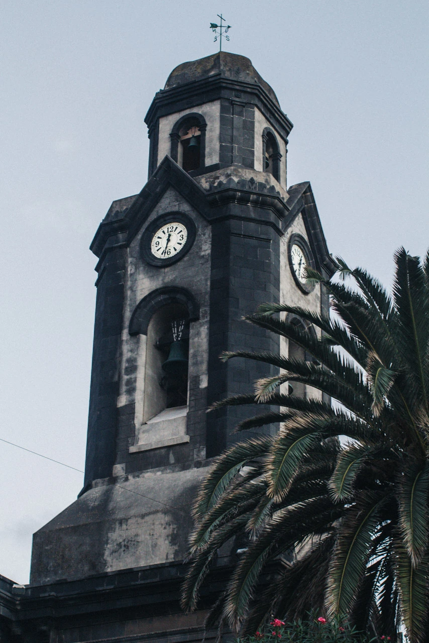 A dark church tower and palm leaves against a pale sky.
