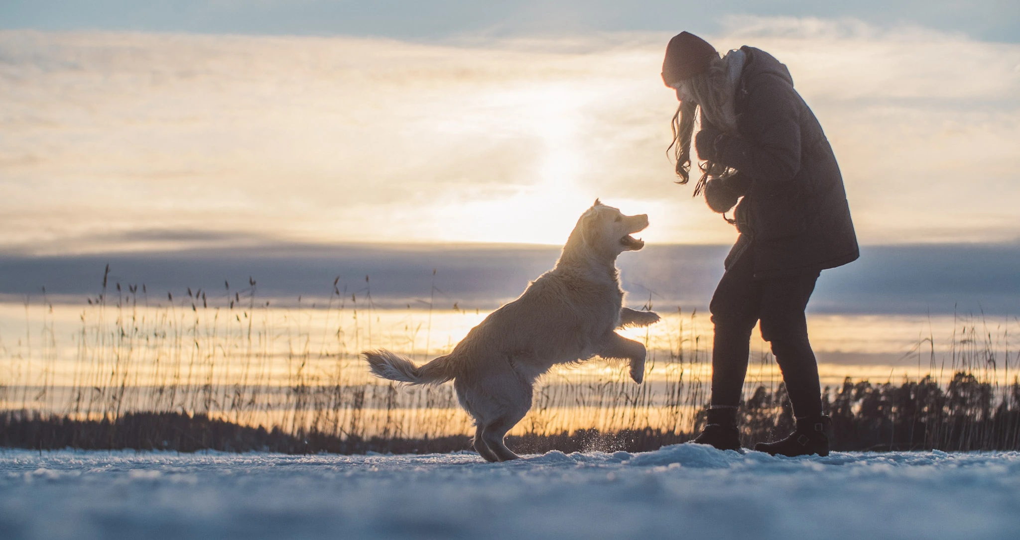 A woman and a jumping dog in silhouette against the low winter sun.