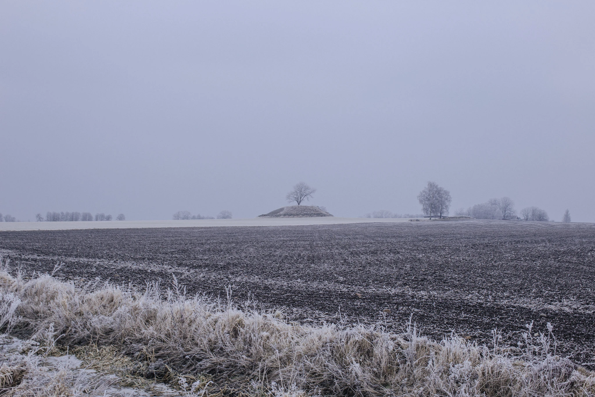 Frostiga fält och avlägsna gårdar under en ljus grå himmel.
