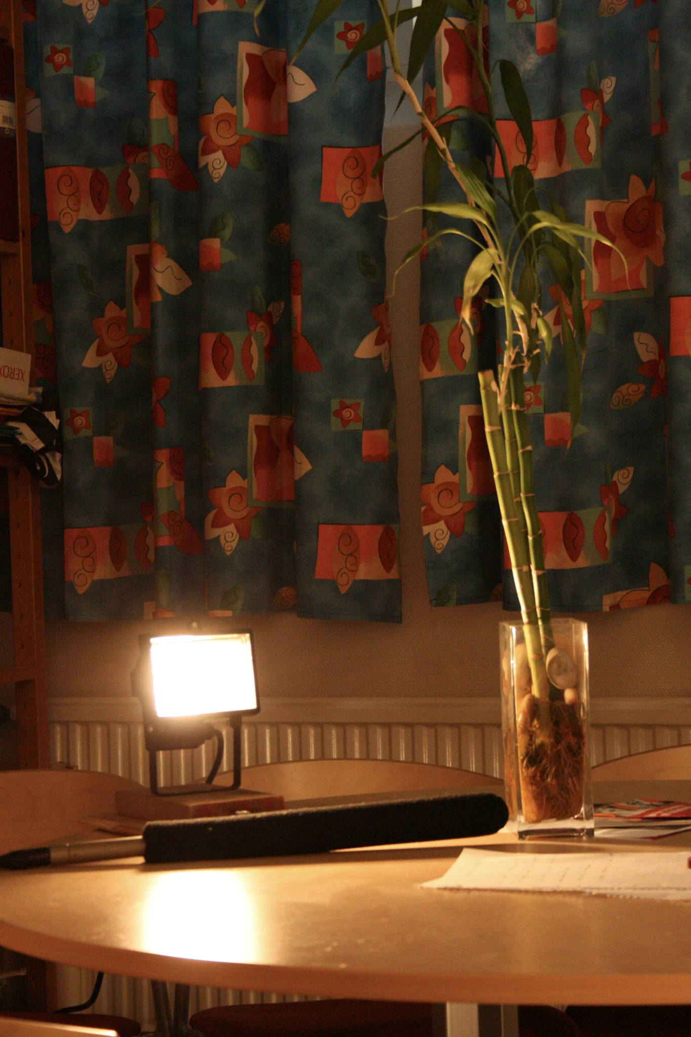 Höga blomstjälkar i en smal glasvas framför mönstrade gardiner och en liten tänd lampa.