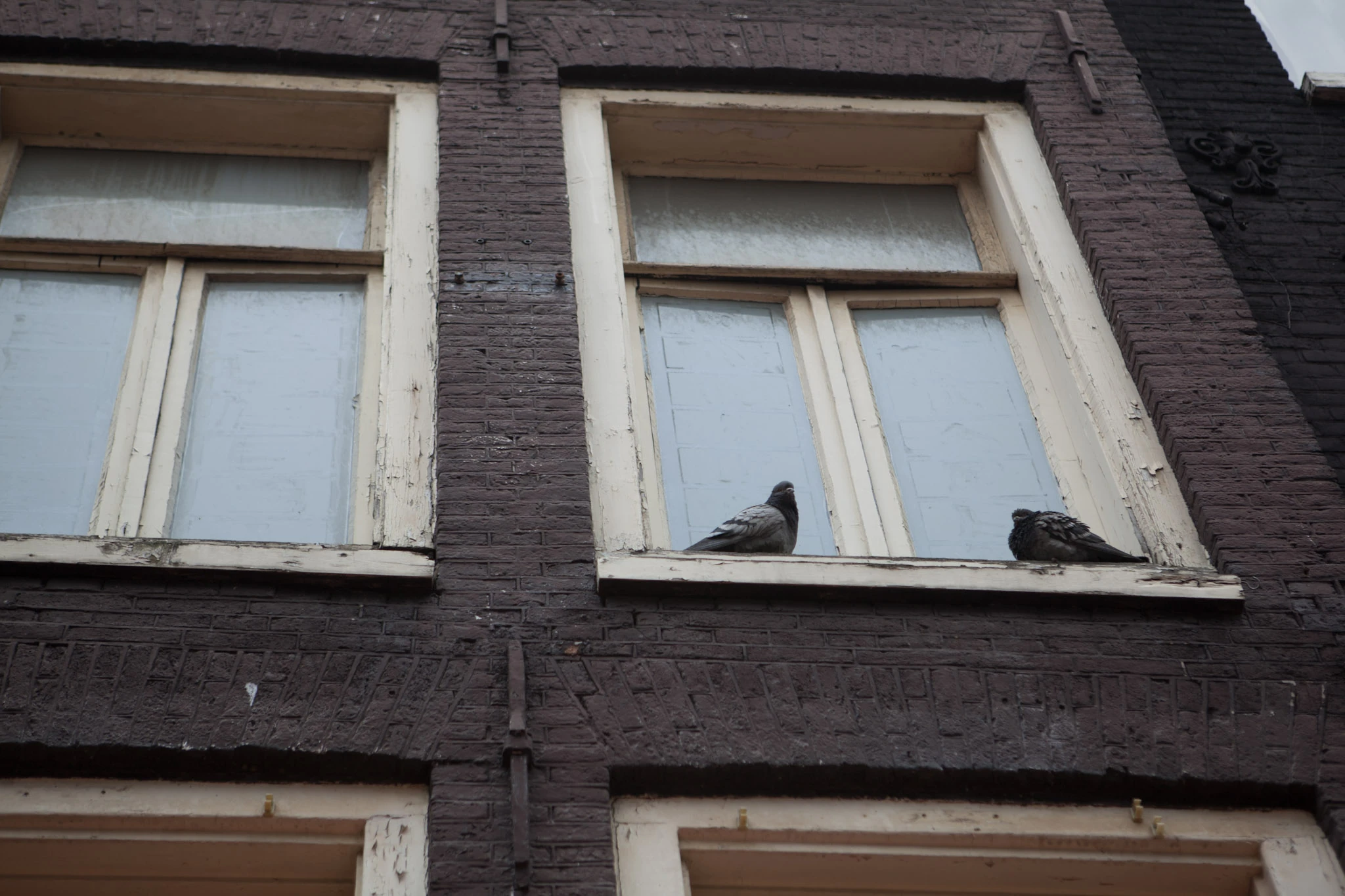 Two pigeons sit on a pale windowsill in a dark brick wall.