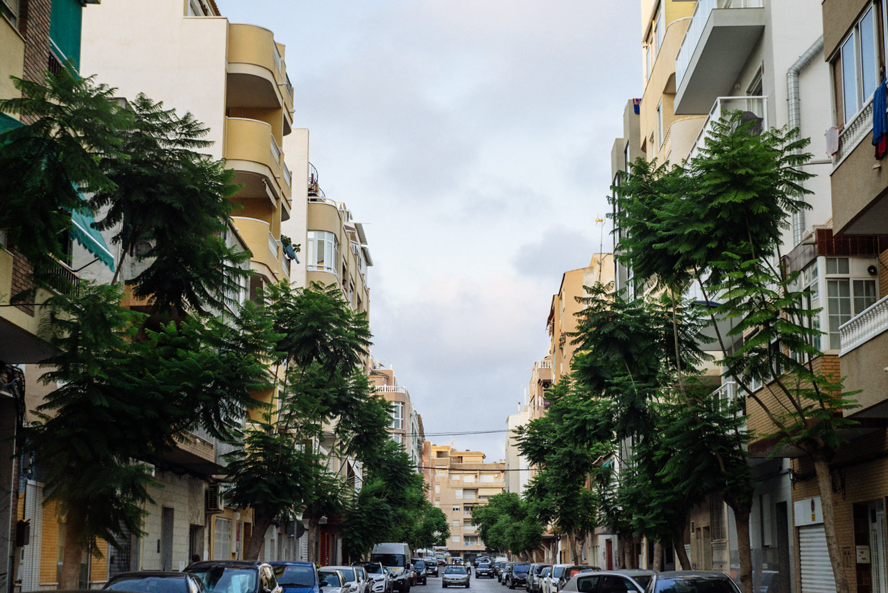 Green street trees frame a street between pale apartment blocks and parked cars.