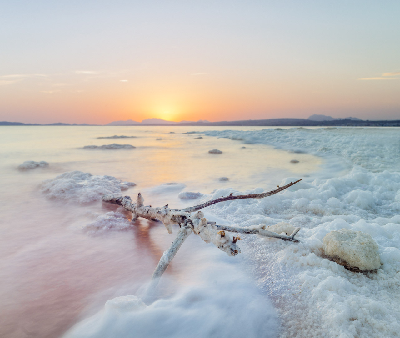 A salt-encrusted branch lies in shallow pink water beneath a pale horizon.