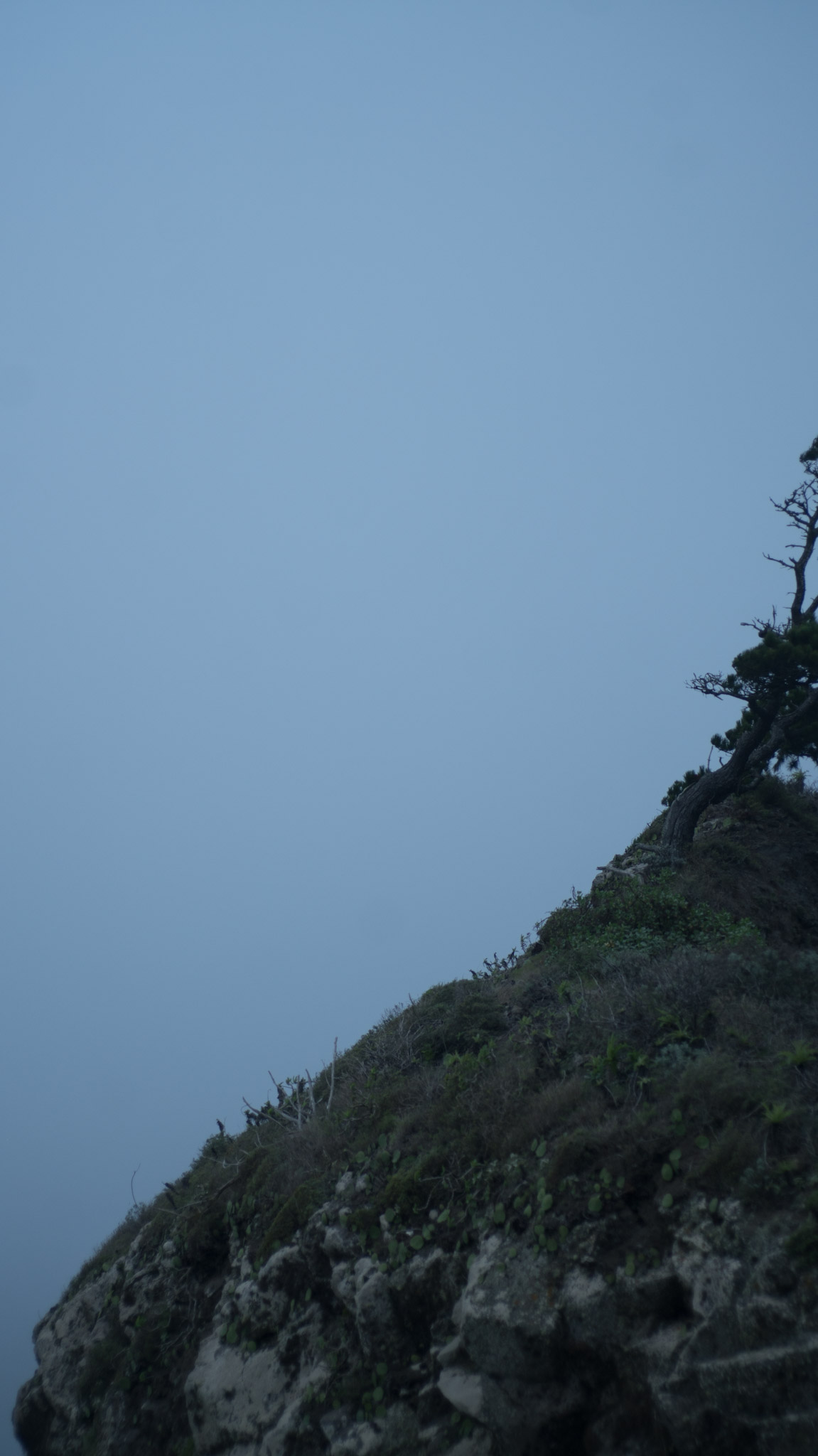 A dark rocky slope with a few trees cuts diagonally through blue fog.