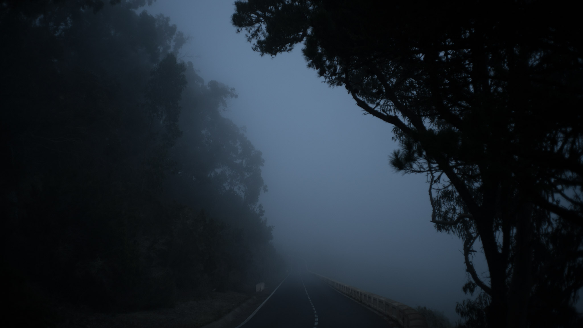 A dark road disappears into blue fog between trees.